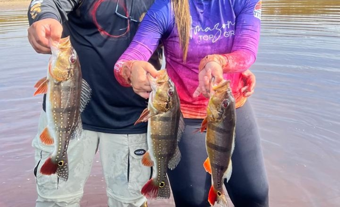 Alerta para a obrigatoriedade do envio anual de relatório da pesca esportiva no Amazonas Alerta para a obrigatoriedade do envio anual de relatório da pesca esportiva no Amazonas