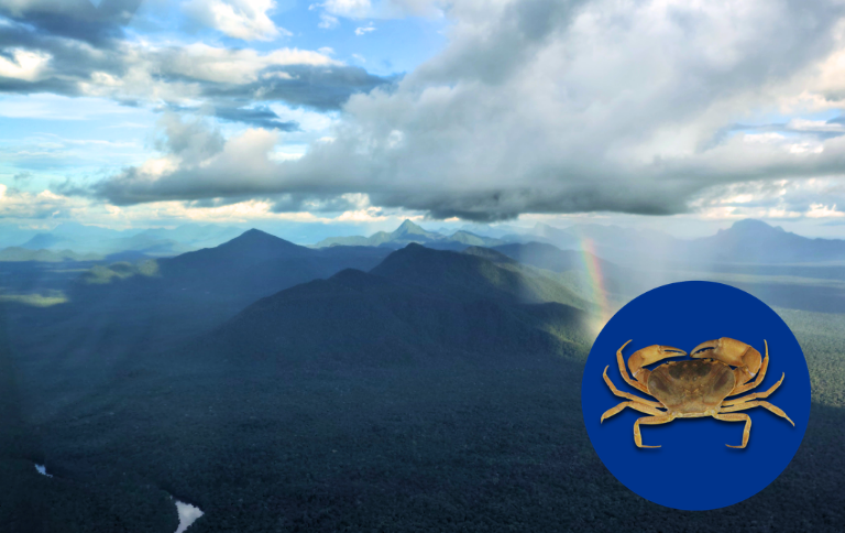 Novo gênero de caranguejo é identificado no Parque Nacional do Pico da Neblina (AM)