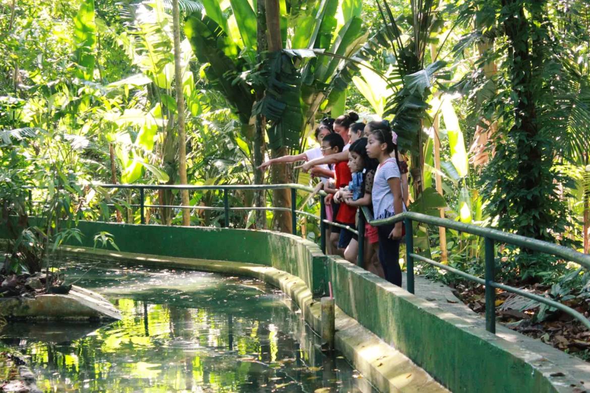 Bosque da Ciência reabre para visitação do público, em Manaus