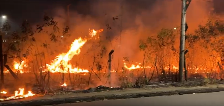 Incêndio atinge área de vegetação durante a madrugada no Distrito Industrial de Manaus