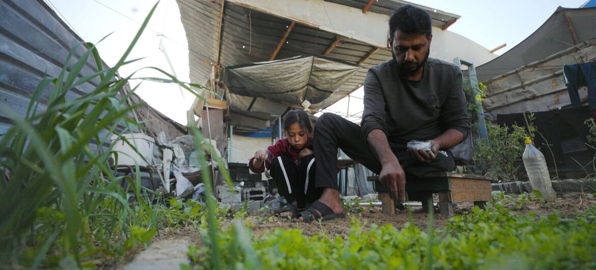 Faixa de Gaza tem 3% das terras agrícolas acessíveis e intactas
