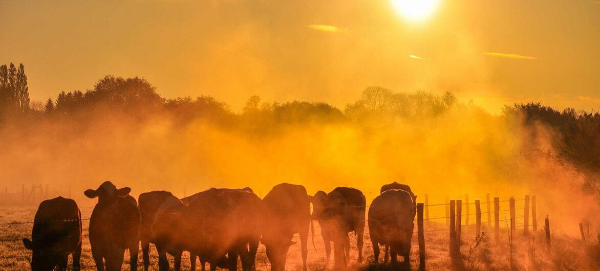 Calor extremo, seca e inundações marcam mês de julho em todo o mundo