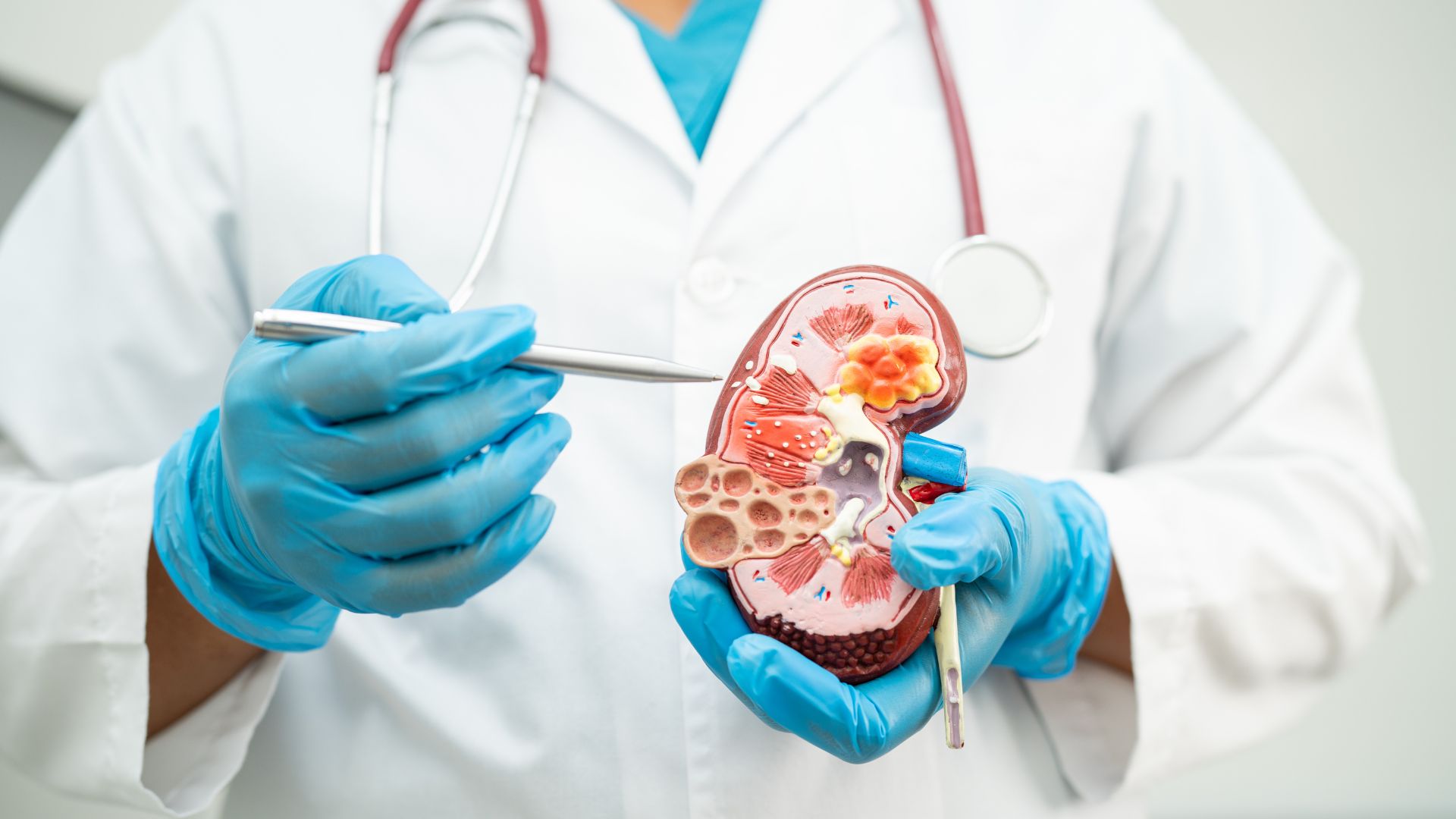 Cuidados com os rins: como identificar sinais de alerta e prevenir complicações renais