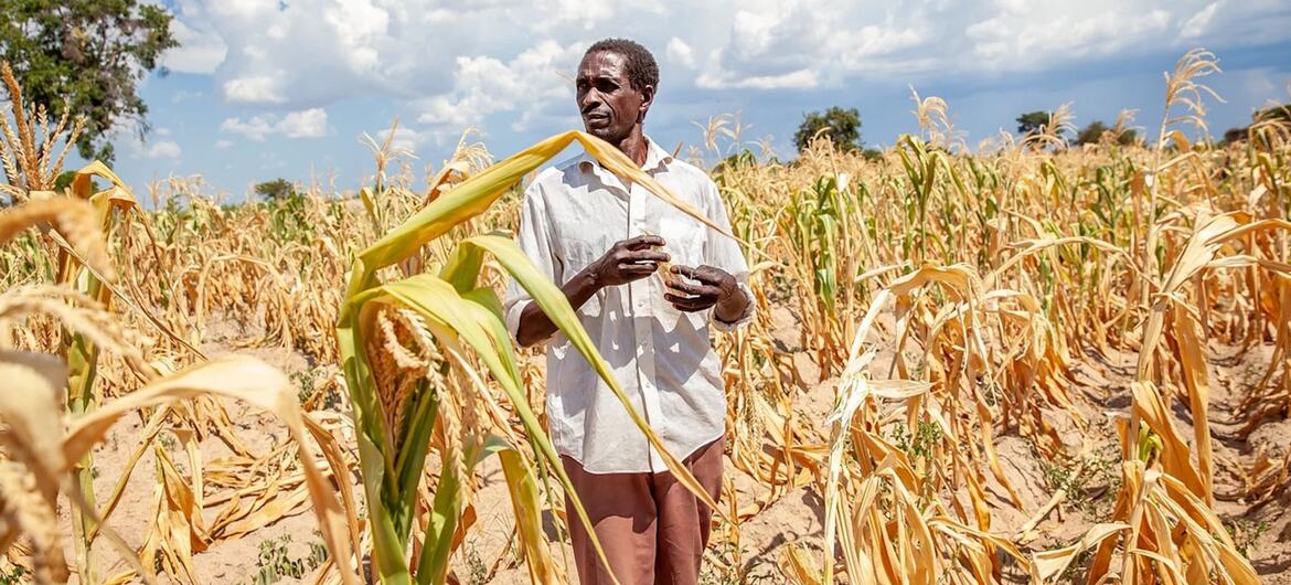 Mais quente e húmido, El Niño reforça chuvas no extremo leste de África