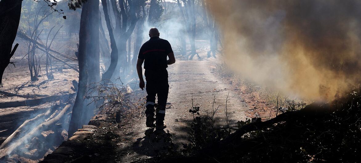 Matas em chamas: como o calor e a seca asfixiam a Europa e a América do Norte