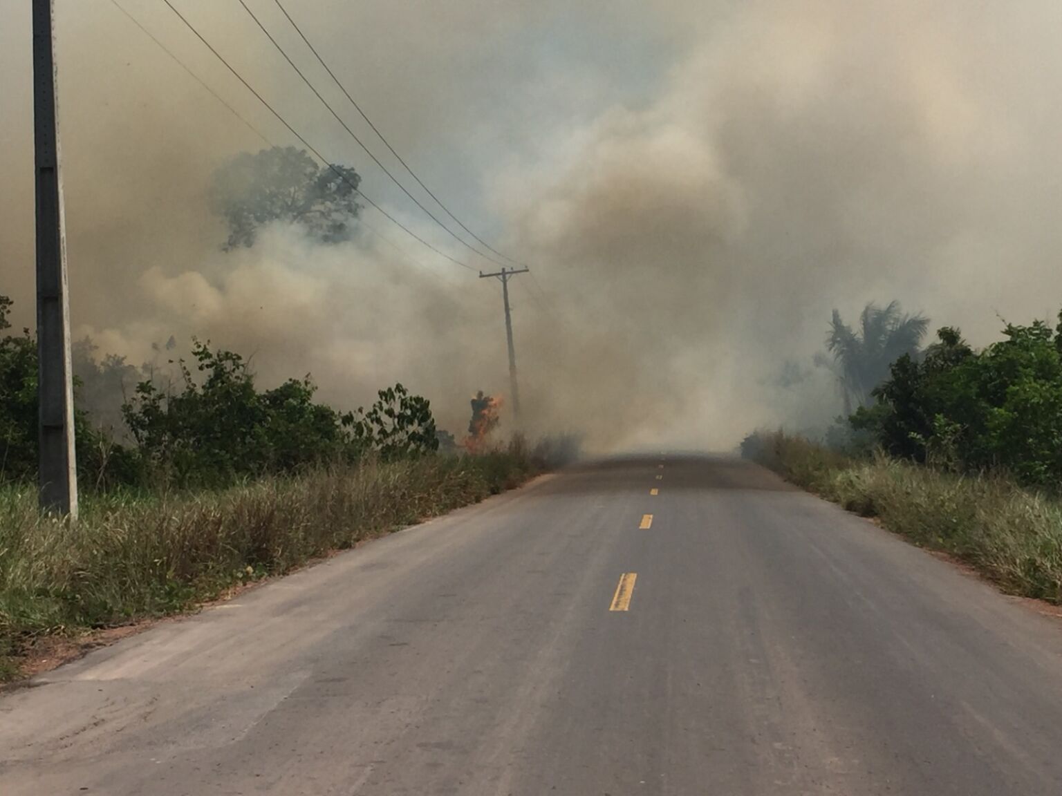 Incêndios florestais aumentam mais de 300% em Manaus em 2026, diz CBMAN