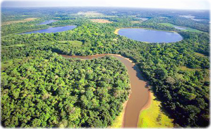 Pantanal: enfrentar mudanças climáticas depende de outros cinco biomas