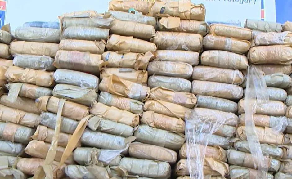 Polícia apreende 341 kg de drogas escondidos em vala na Zona Norte de Manaus