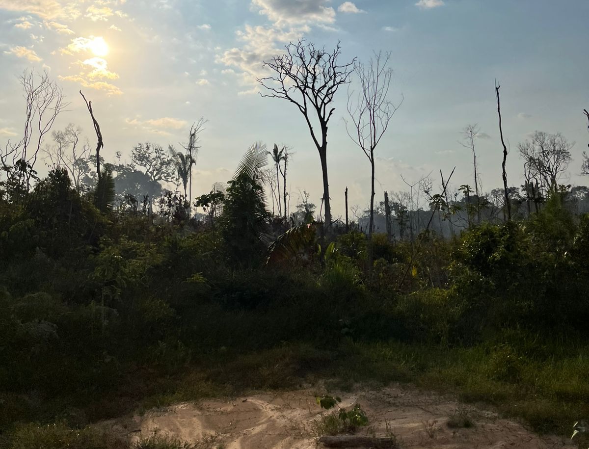 Após denúncias, MPAM ajuíza ação civil pública ambiental por incêndios florestais em Manicoré