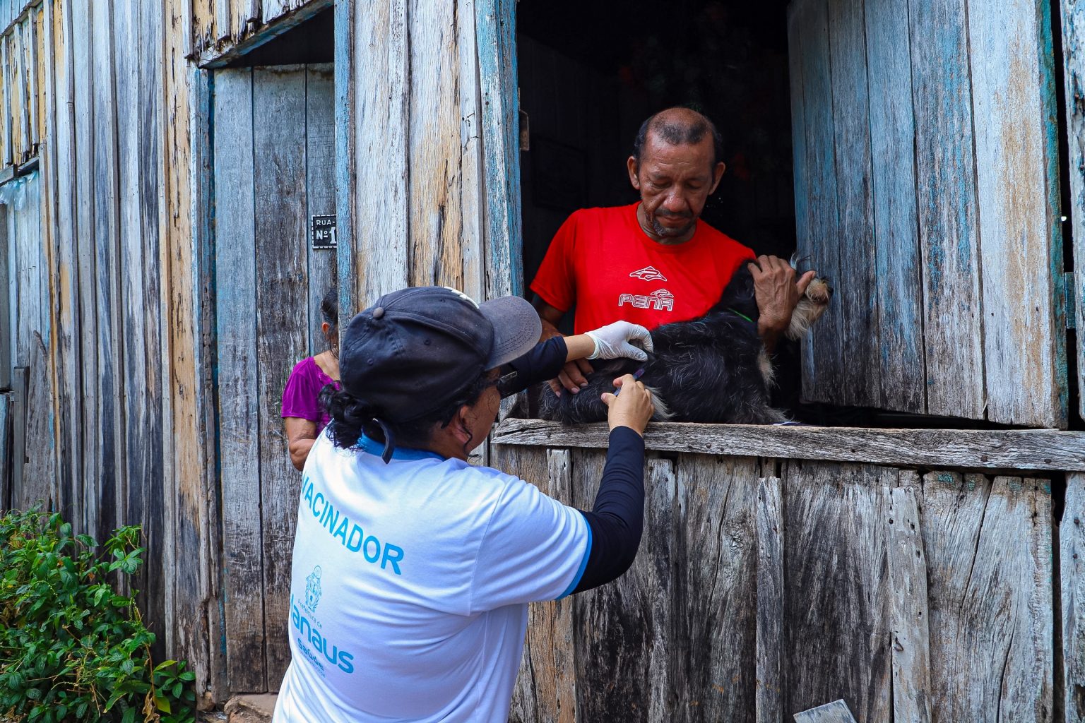 Manaus inicia campanha de vacinação antirrábica com meta de imunizar mais de 280 mil animais